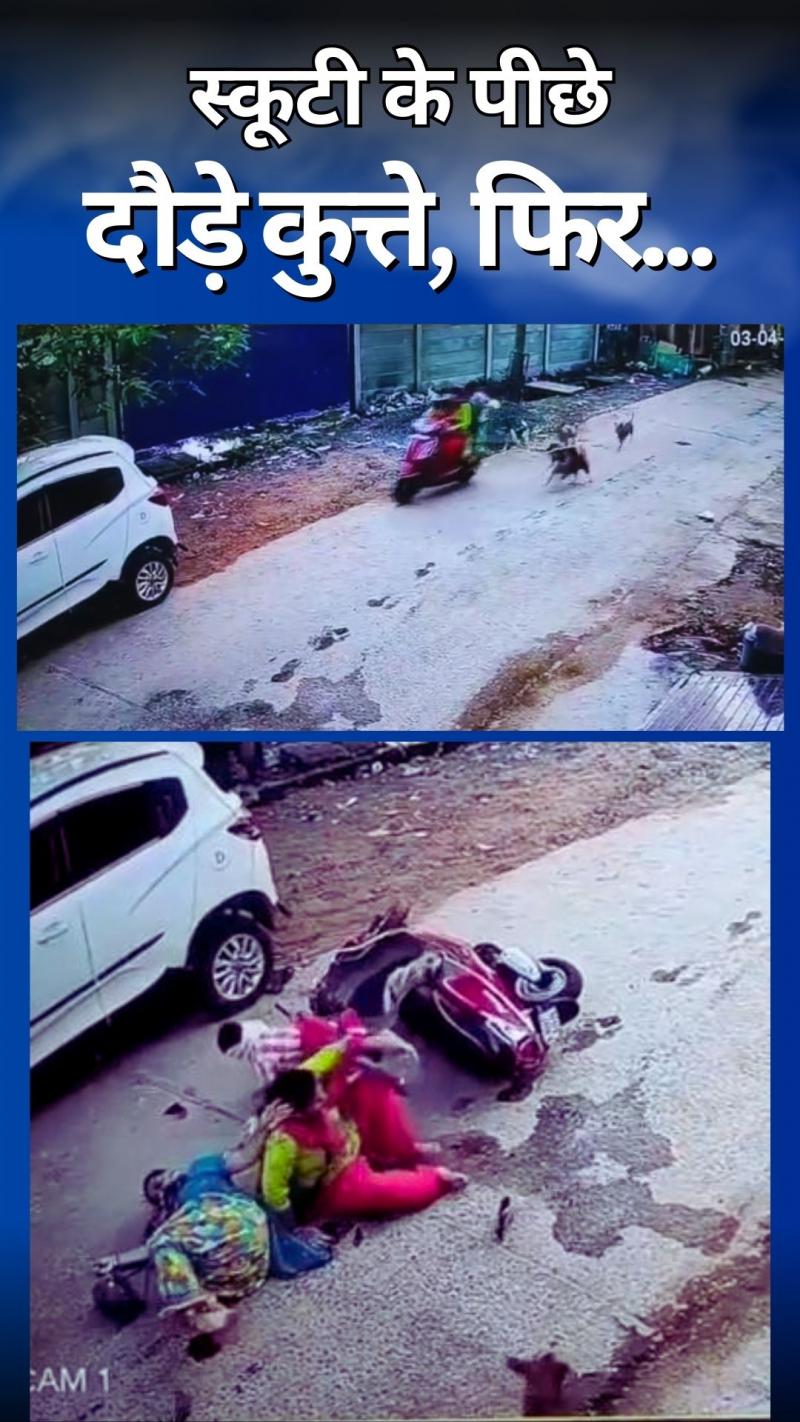 Stray Dogs Attack: बच्चे को स्कूल छोड़ने जा रही महिला को कुत्तों ने दौड़ाया, फिर...