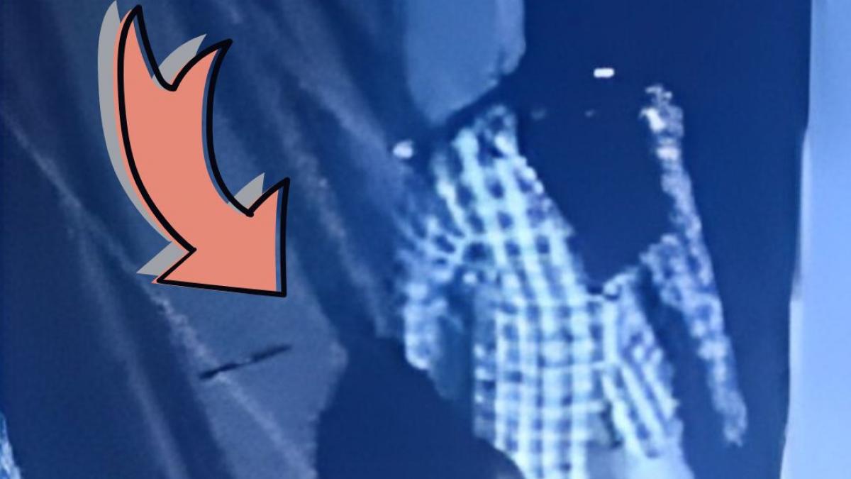 loot from car showroom