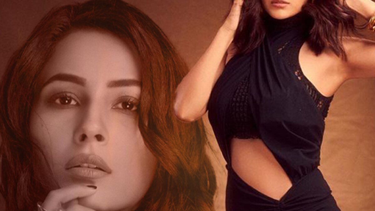 Shehnaaz transformation