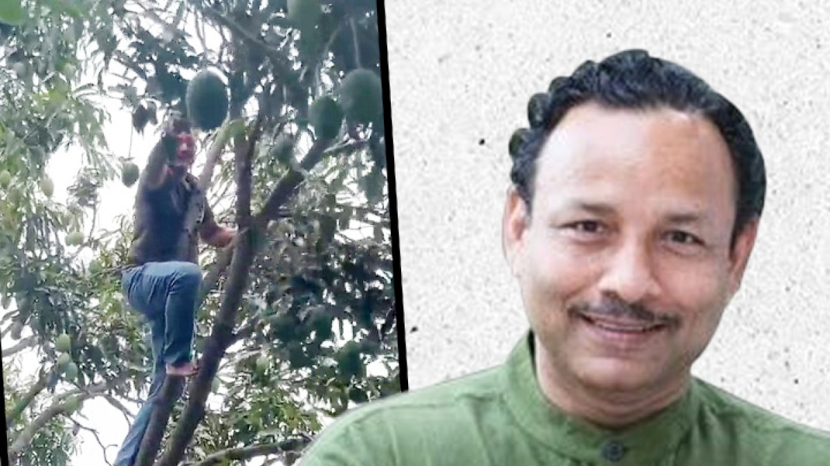 anurag bhadauria yoga day