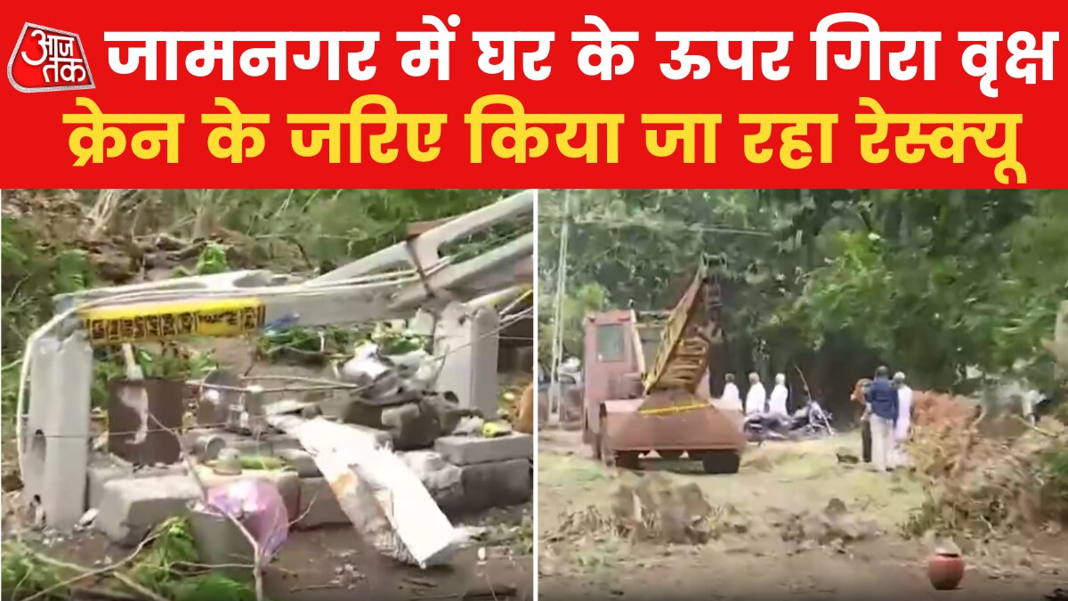 गुजरात: तेज हवा के कारण धराशाई हुआ विशालकाय पेड़, टेढ़ा हुआ बिजली का खंबा