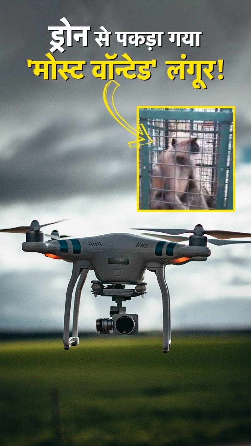 बुलानी पड़ी स्पेशल टीम, ड्रोन की मदद से पकड़ में आया इनामी लंगूर