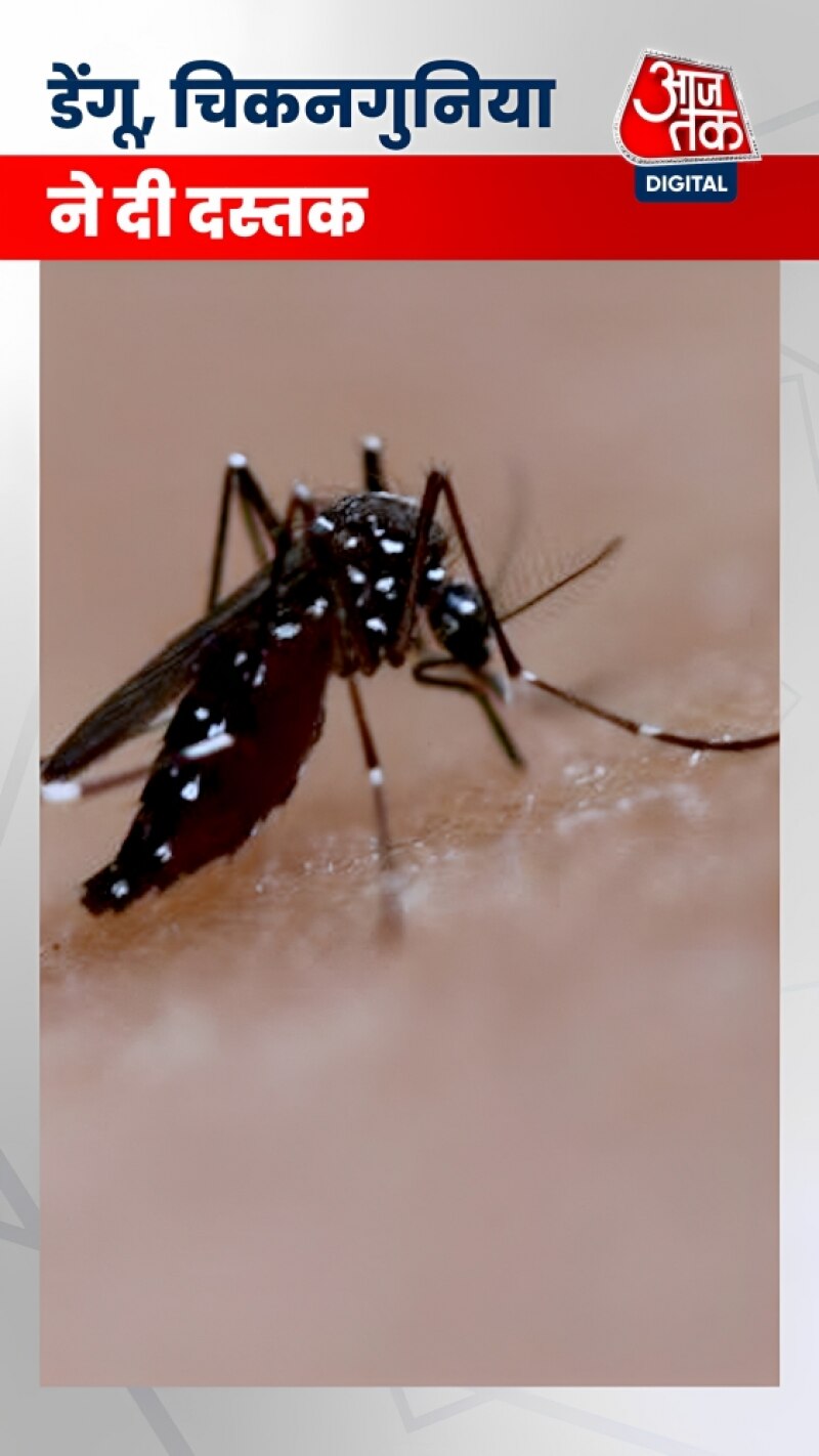 बारिश और बाढ़ के बीच यहां डेंगू और चिकनगुनिया की दस्तक