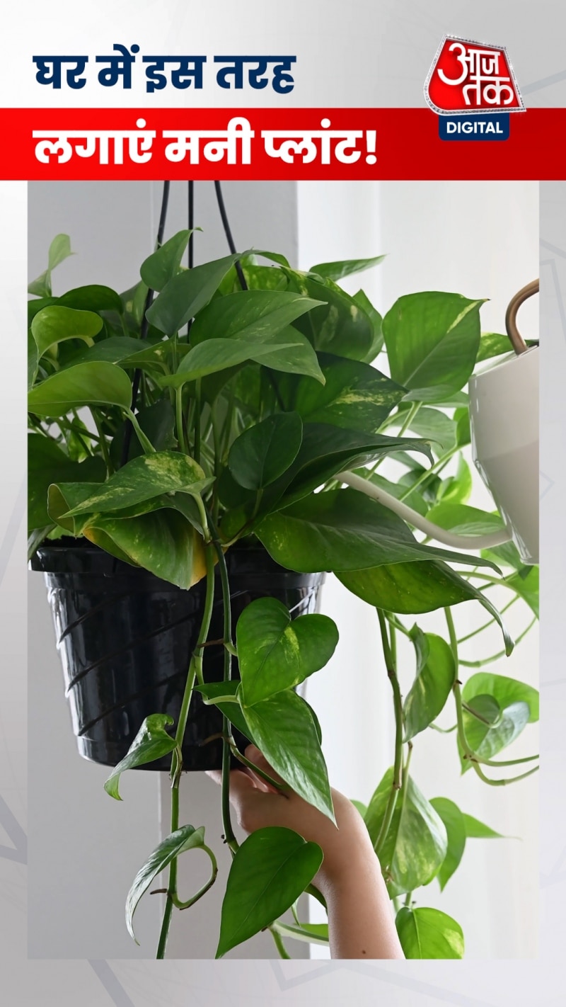 बरसेगी मां लक्ष्मी की कृपा और भरने लगेगी तिजोरियां