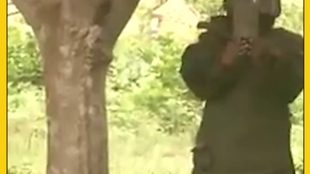 West bengal panchayat election violence 