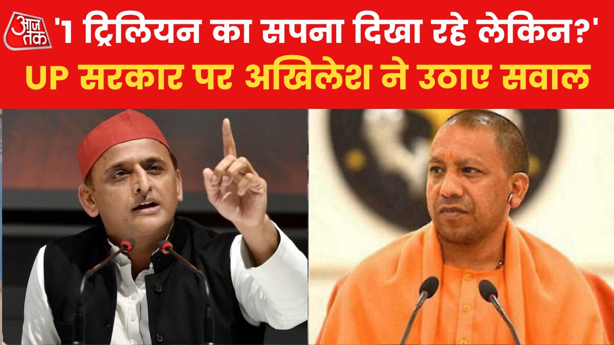 'आज देश में सबसे बड़ी परिवारवादी पार्टी कोई है तो वो BJP', देखें अखिलेश यादव का बयान