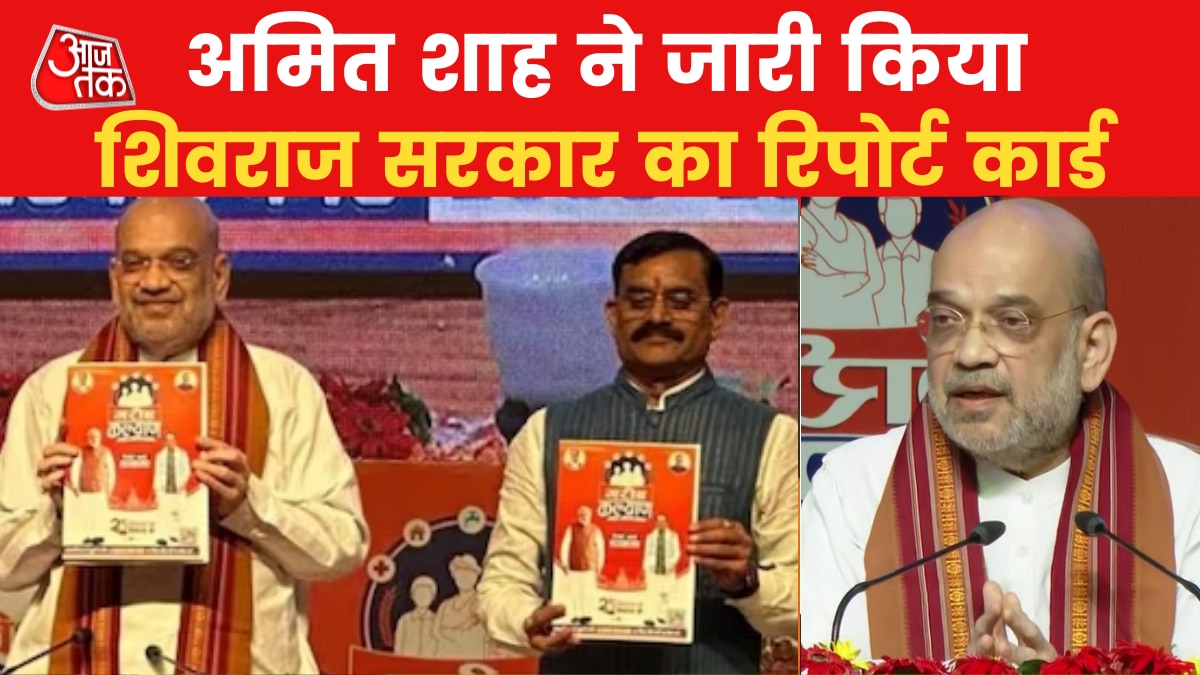 'आत्मनिर्भर मध्य प्रदेश की नींव डालने का काम 20 साल में...', देखें क्या बोले अमित शाह