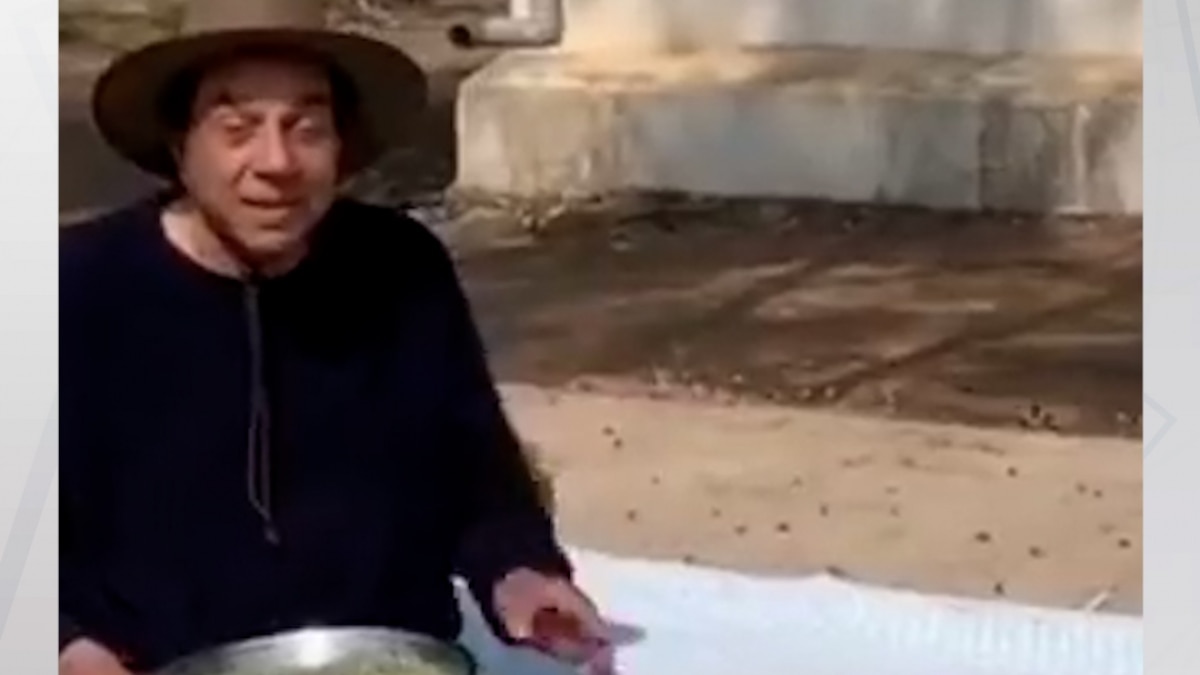 dharmendra living simple life in village 