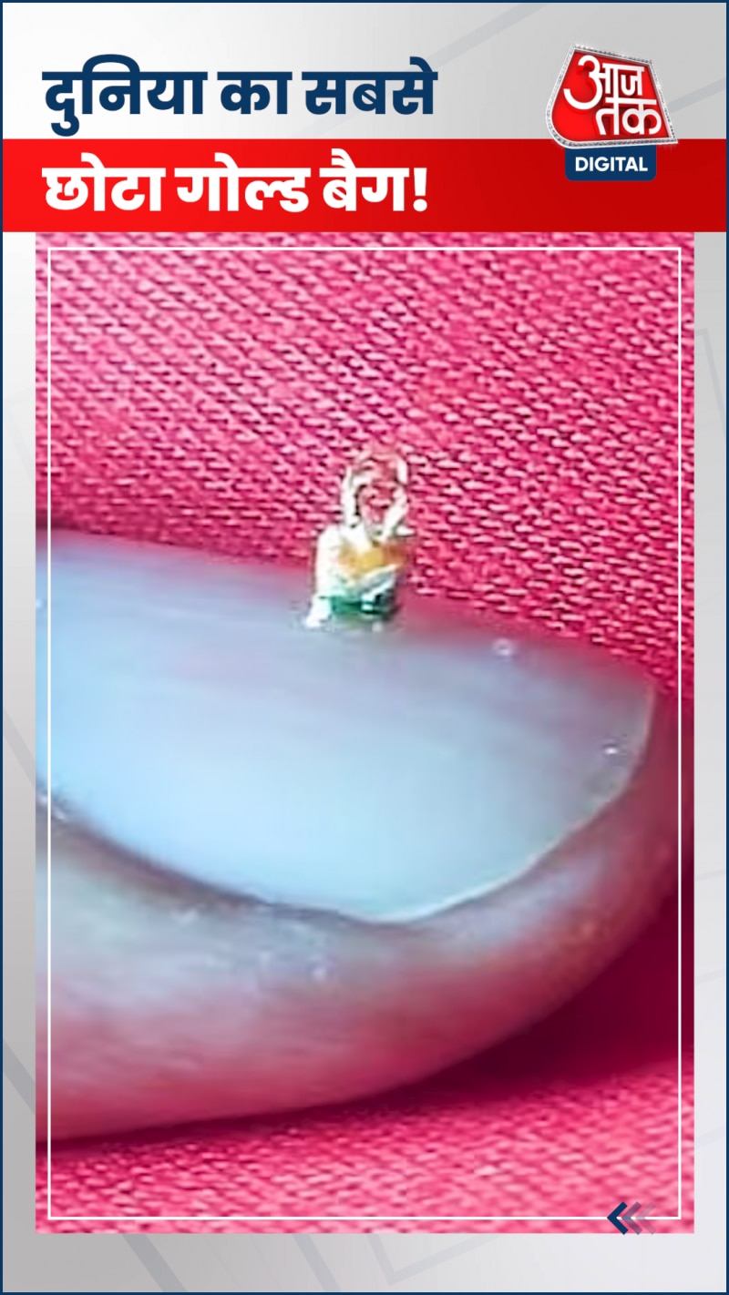 ये है चावल के दाने से छोटा सोने का छोटा-सा बैग 