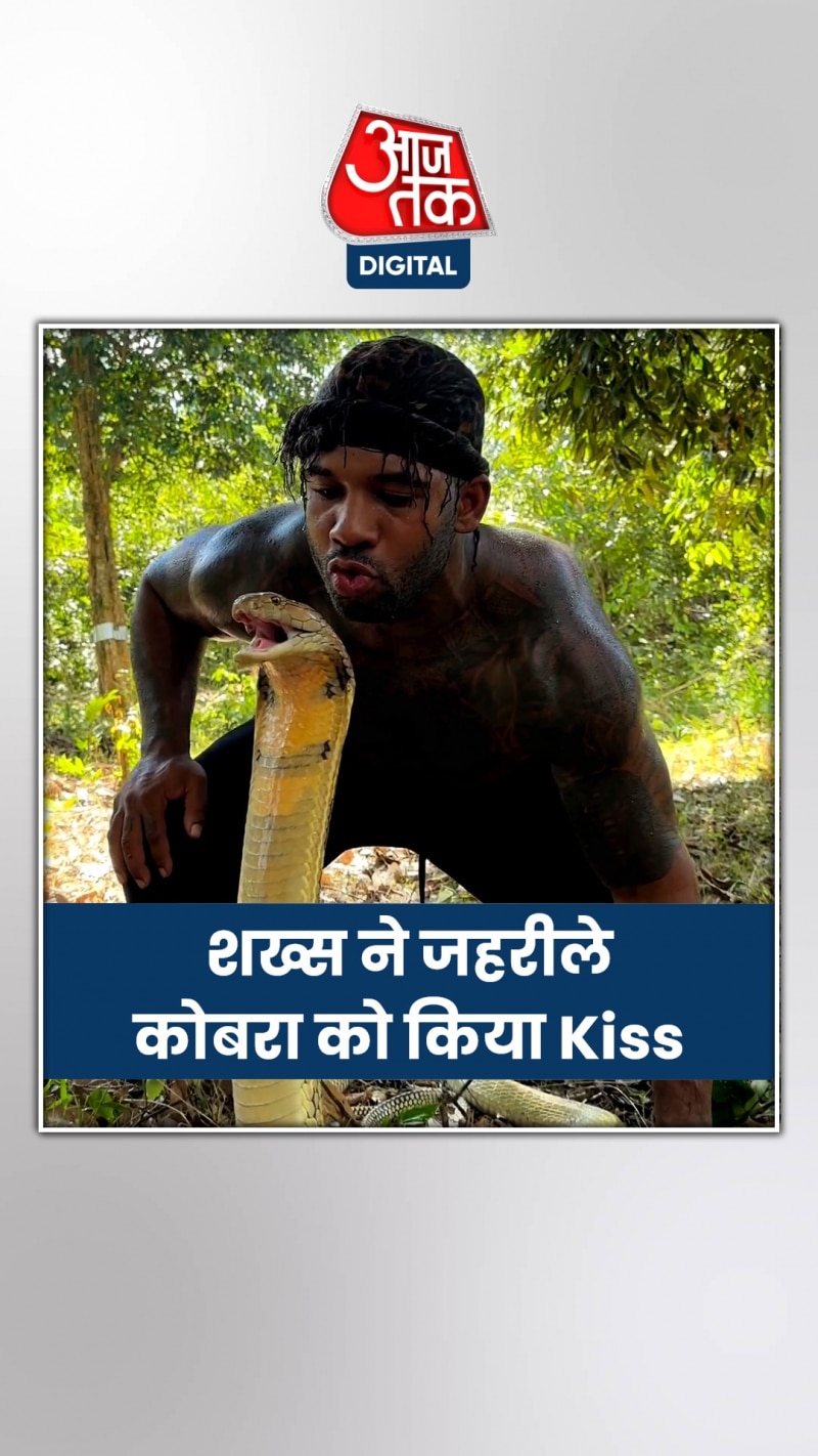 शख्स ने जहरीले कोबरा को किया Kiss, फिर... Video Viral