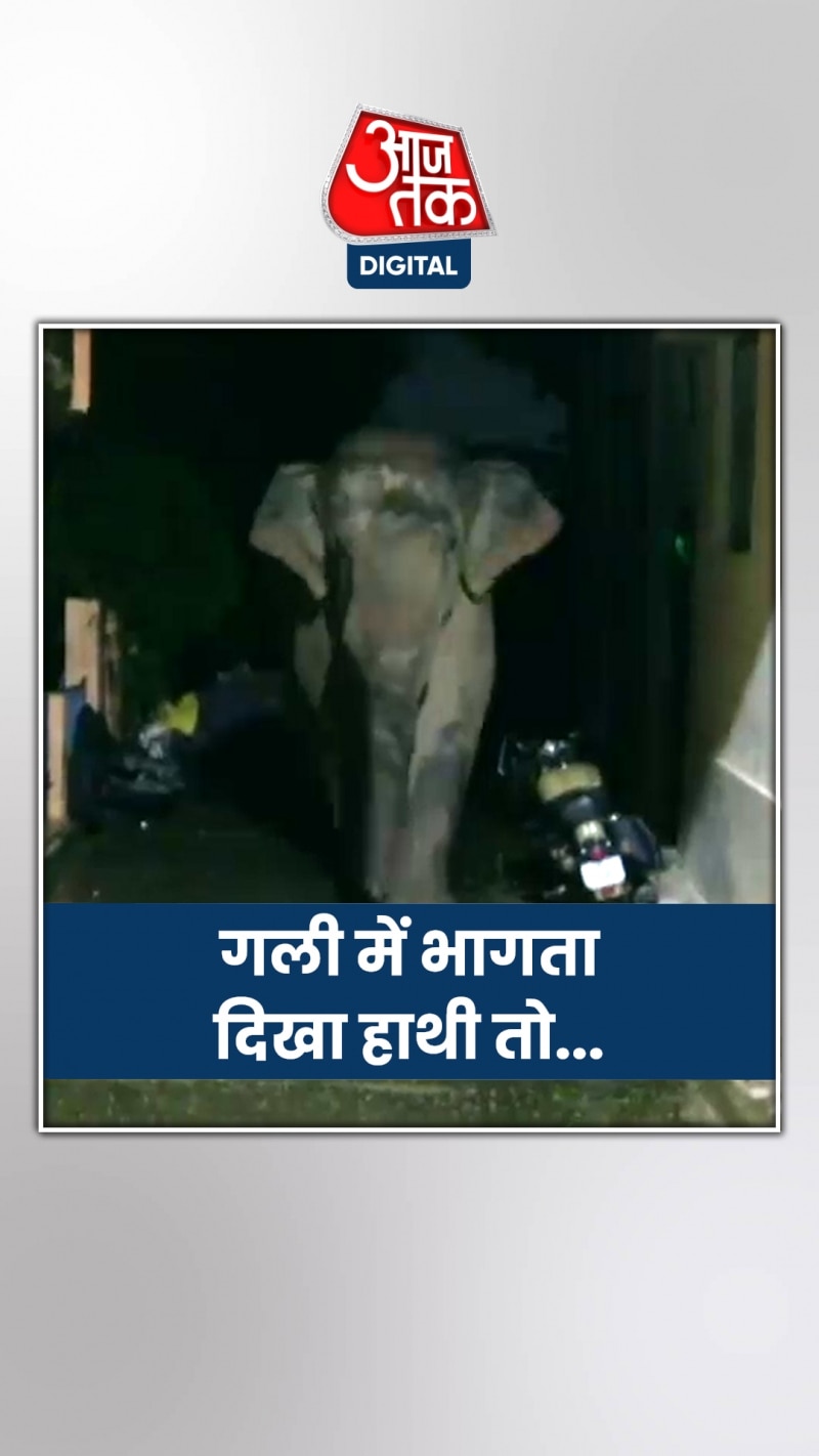 Rishikesh: गली में भागता दिखा हाथी, दहशत में आए लोग