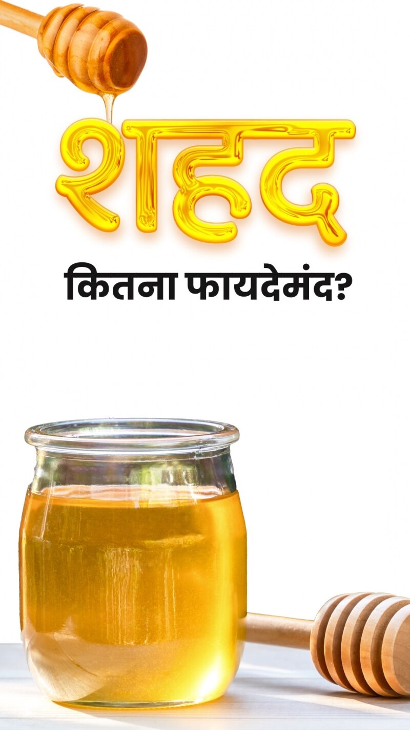 आयुर्वेद में 'सेहत का खजाना' मानी जाती है यह औषधि