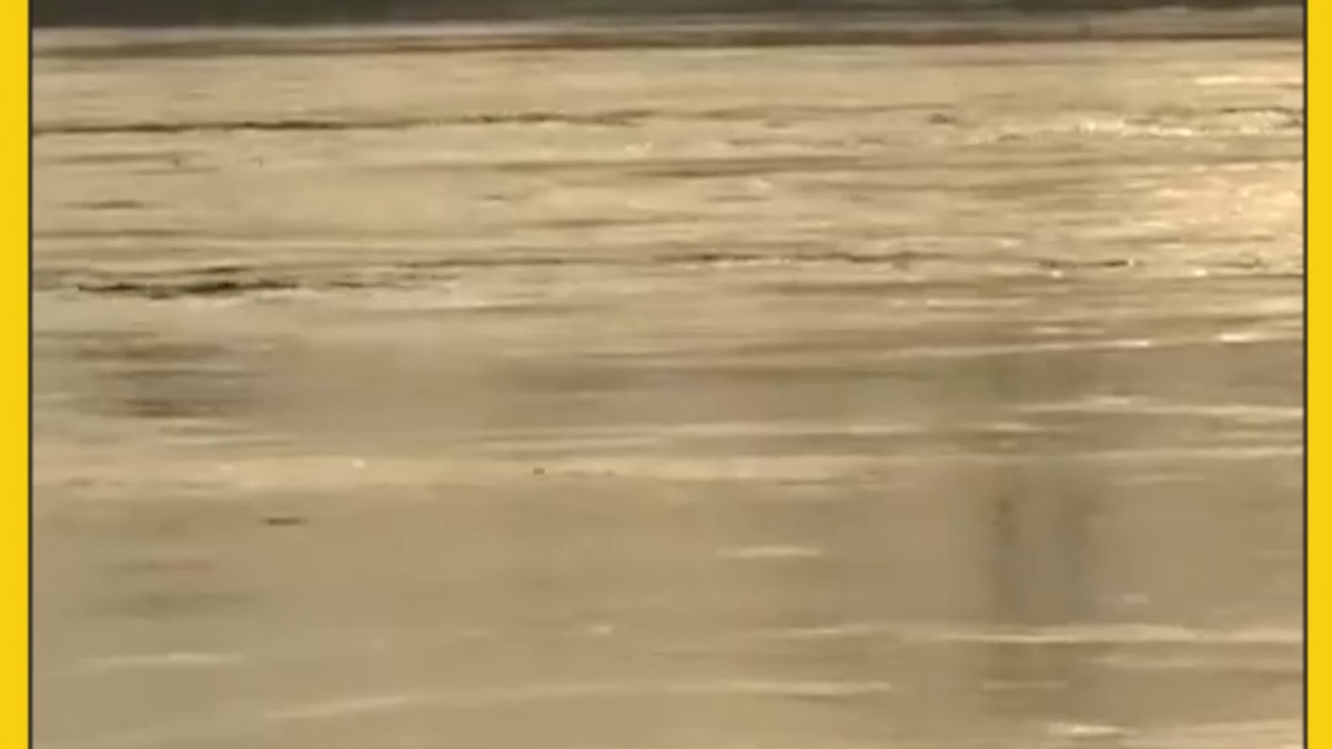 yamuna crosses danger mak