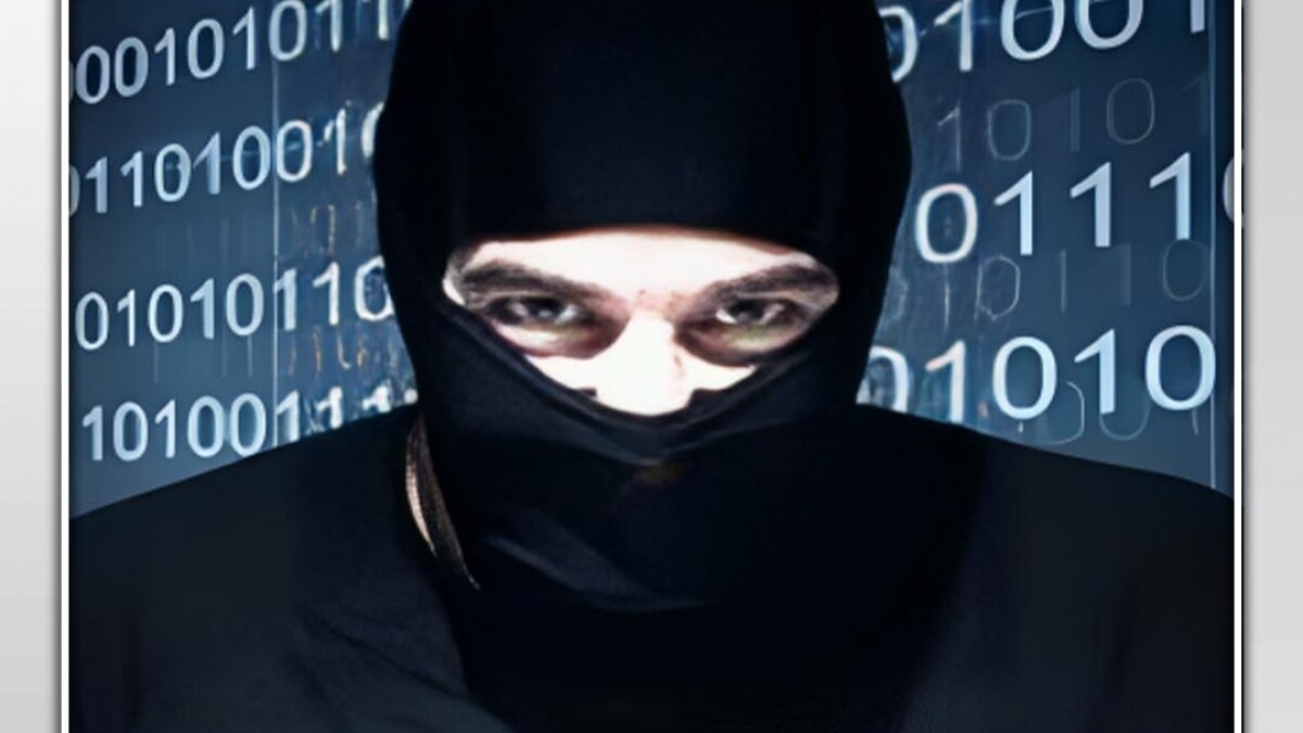 Bengaluru cyber fraud