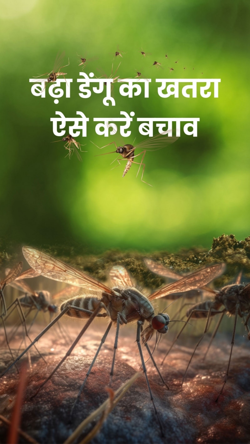 शरीर में डेंगू के क्या हैं लक्षण? जानें बचाव के तरीके