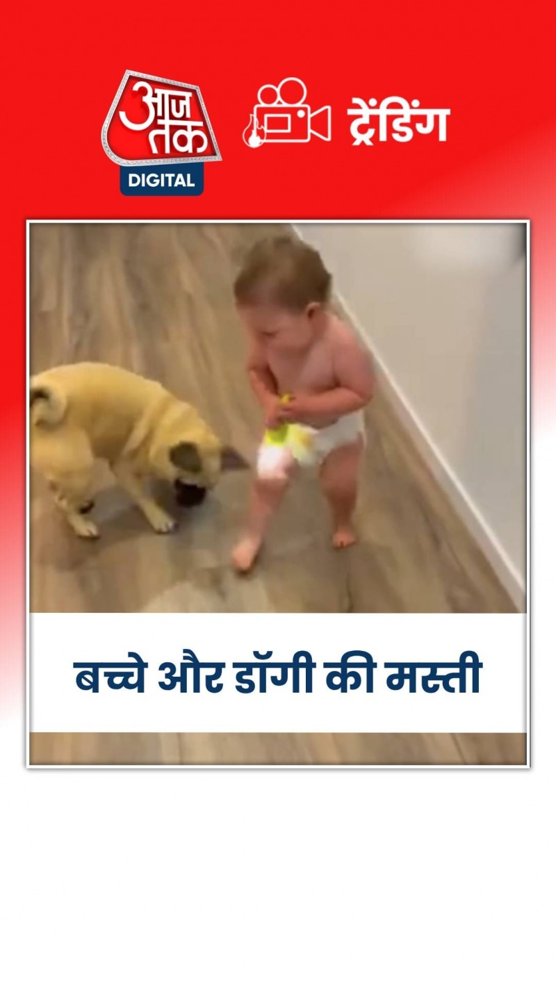 छोटे बच्चे के साथ मस्ती से खेलता नजर आया डॉगी