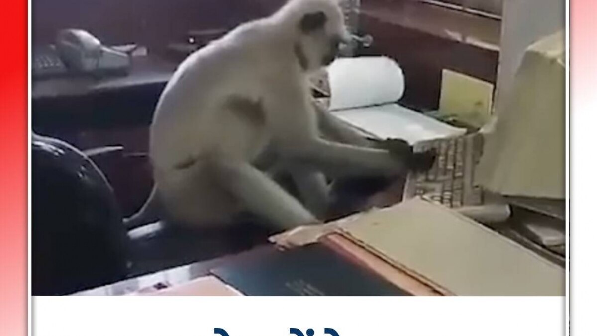 viral video of money spotted in office 