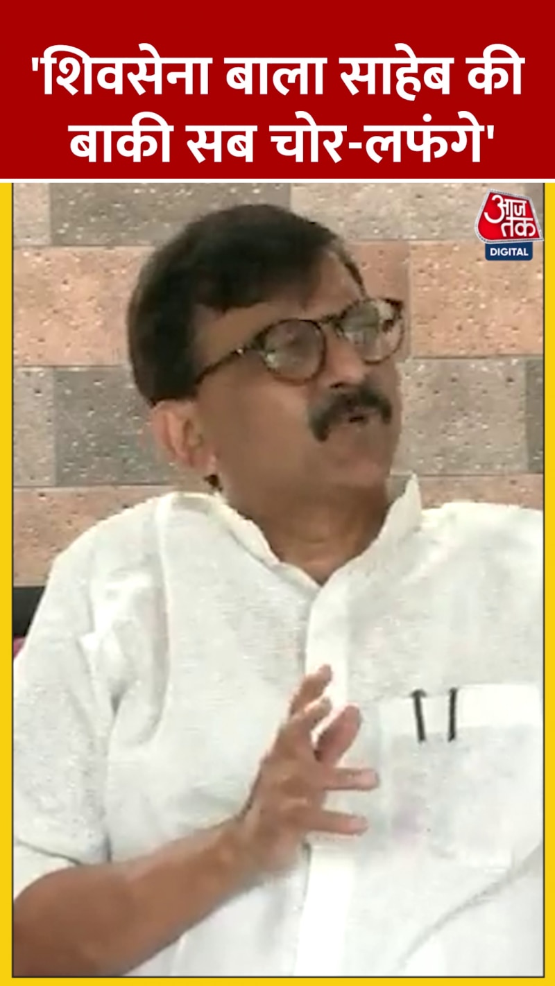 'शिवसेना बाला साहेब की, बाकी...', देखें क्या बोले संजय राउत