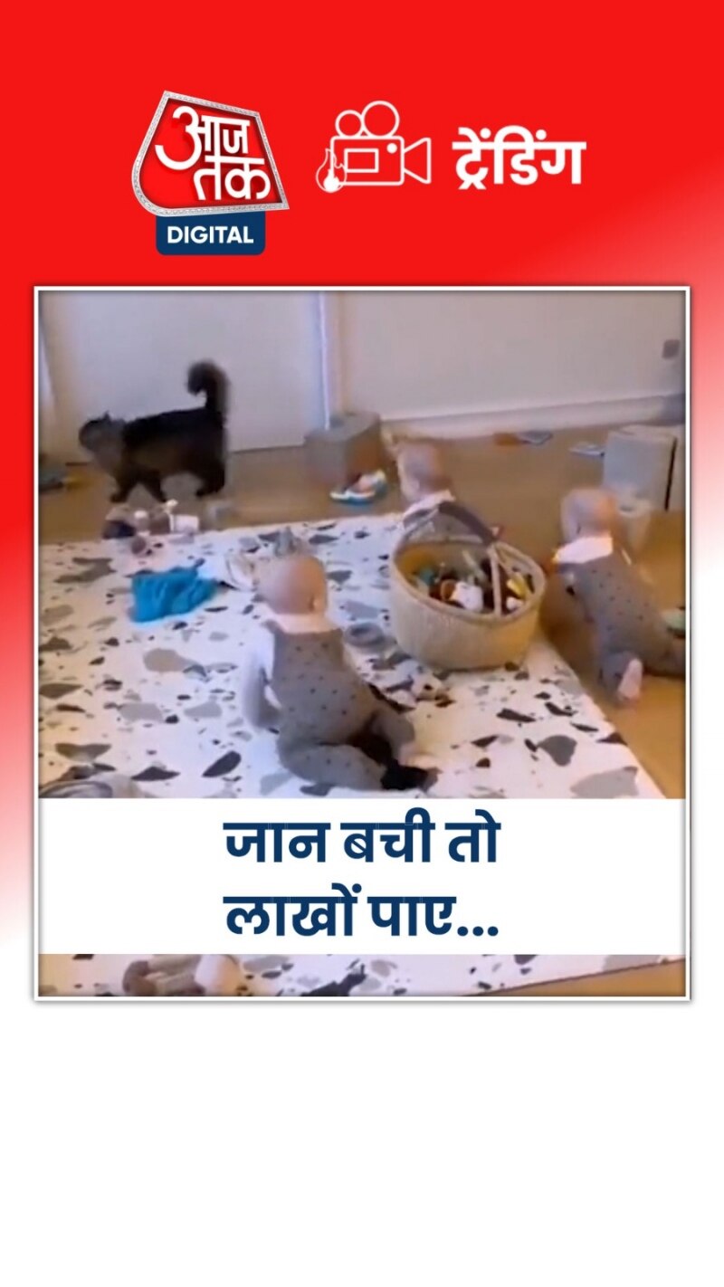 Viral Video: जान बचाकर भागी बिल्ली