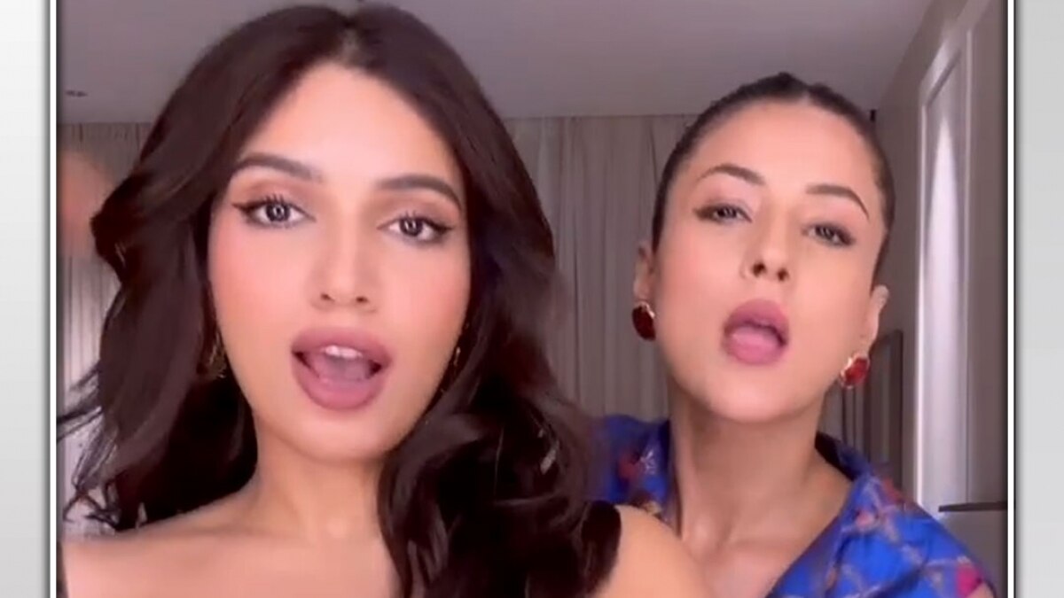 Bhumi Shehnaaz Weight Loss