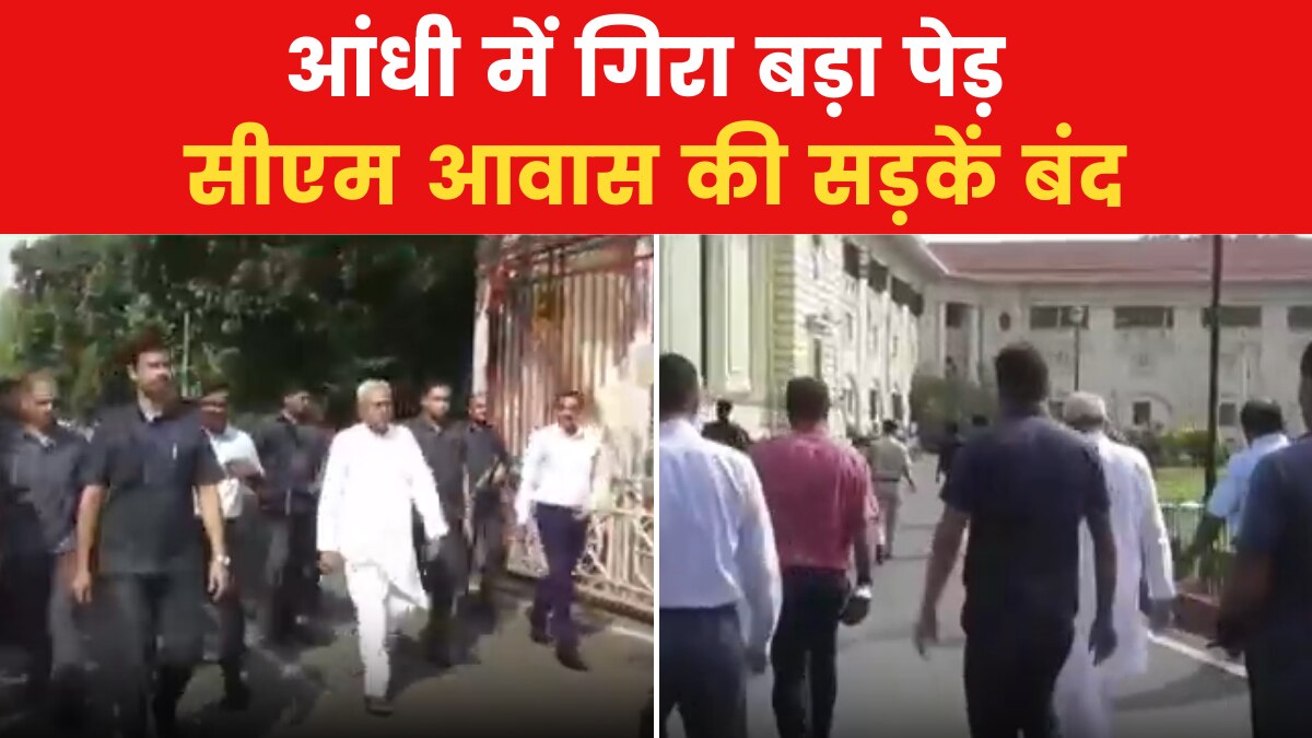 सीएम आवास में गिरा पेड़, रास्ता बाधित...पैदल ही निकले नीतीश