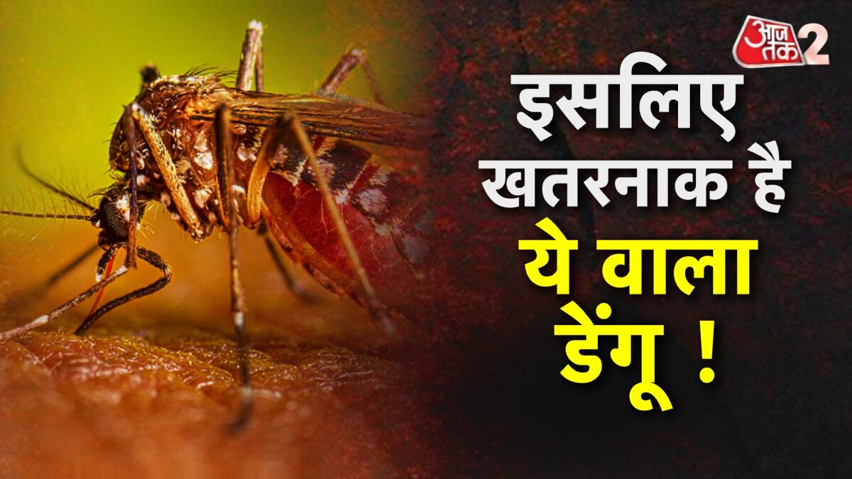 दिल्ली-NCR में डेंगू का कहर, जिनको हुआ था कोविड उनको ज्यादा खतरा