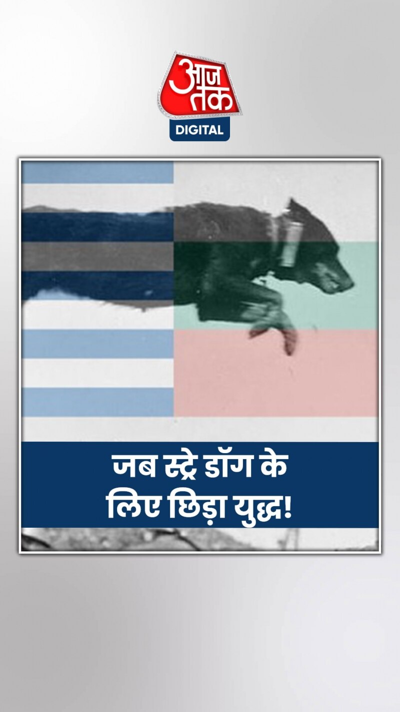 जब स्ट्रे डॉग को लेकर भिड़ गए दुनिया के दो देश