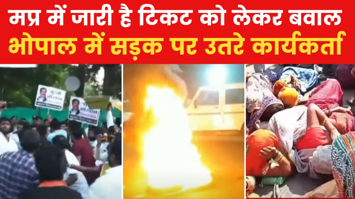 madhya pradesh assembly elections 2023