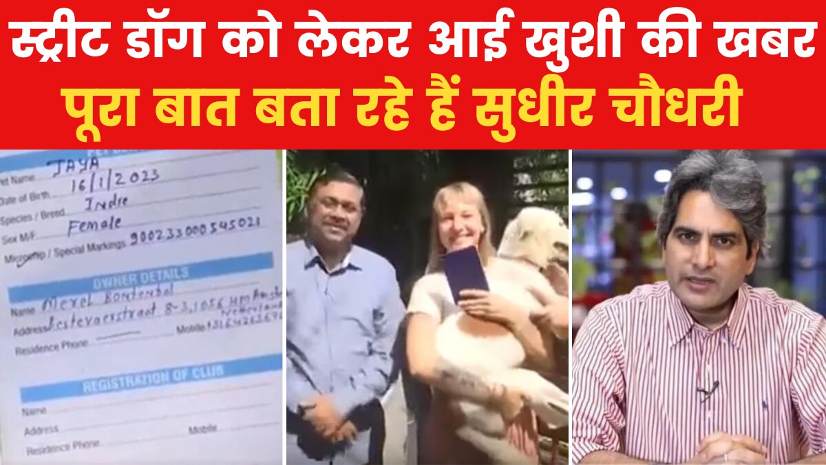 नीदरलैंड्स के लिए उड़ान भरने तैयार वाराणसी की डॉग, ऐसे बदली किस्मत