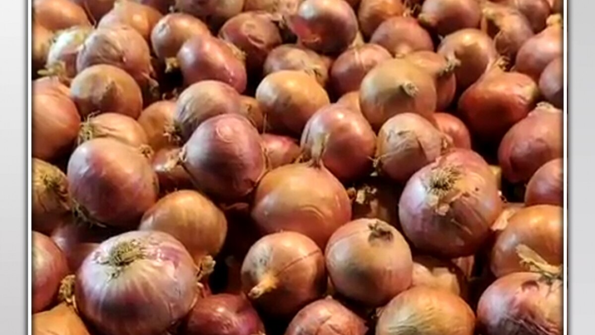 onion price hiked in country 