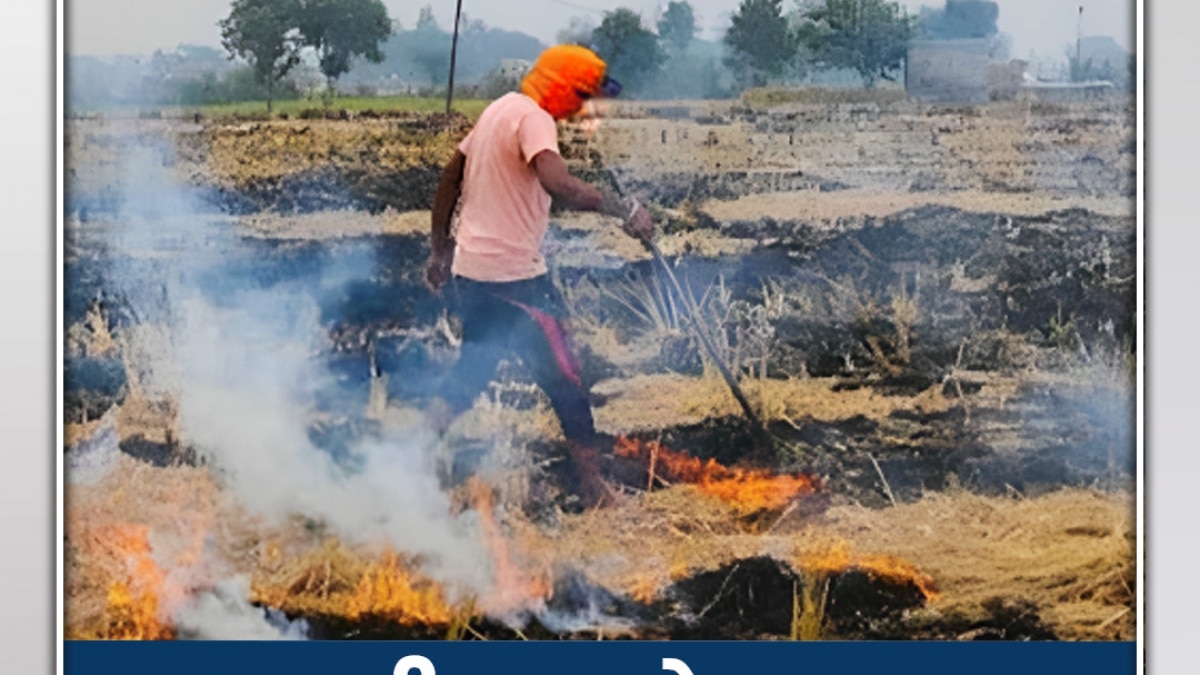 parali stubble burning cases