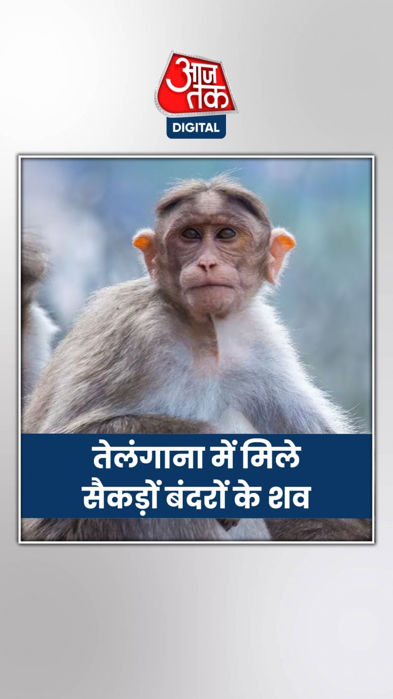 तेलंगाना में कैसे हुई सैकड़ों बंदरों की मौत?