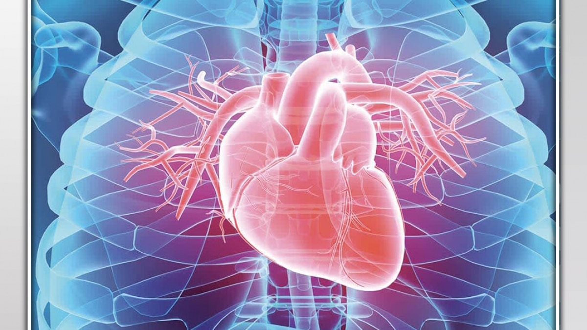 tips to avoid heart attack