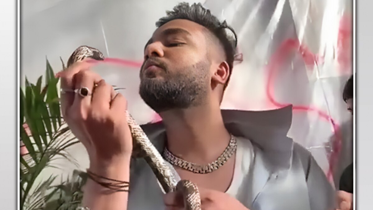 elvish yadav viral video