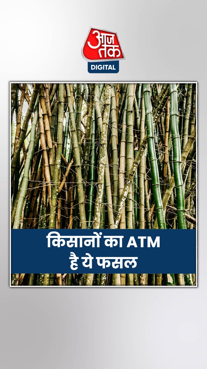 इस फसल से किसानों को होगी लाखों की कमाई