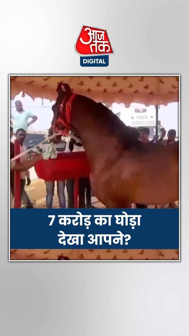 मेले में पहुंचा 7 करोड़ का घोड़ा, जानें खासियत...