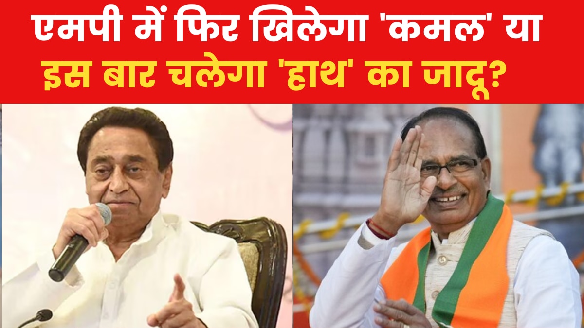 Assembly Elections 2023: एमपी में 230 सीटों पर जारी वोटिंग, कई जगह मतदान केंद्रों पर बवाल