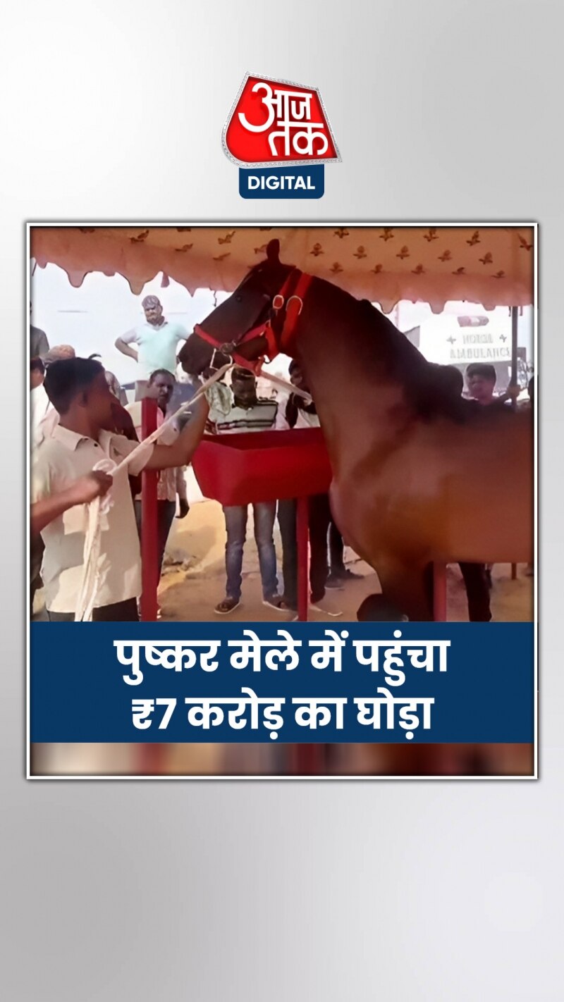 Pushkar Fair 2023: क्यों चर्चा में पुष्कर मेले में पहुंचा फ्रेजेंड नाम का ये घोड़ा?