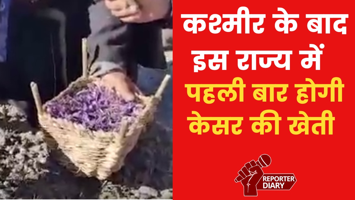 लद्दाख के खेतों में भी महकेगी केसर की खूशबू, CISR की पहल लाई रंग, देखें