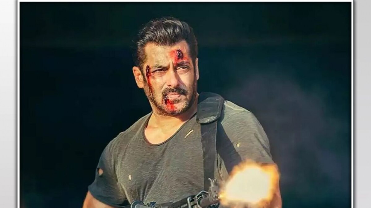 Tiger 3 box office collection