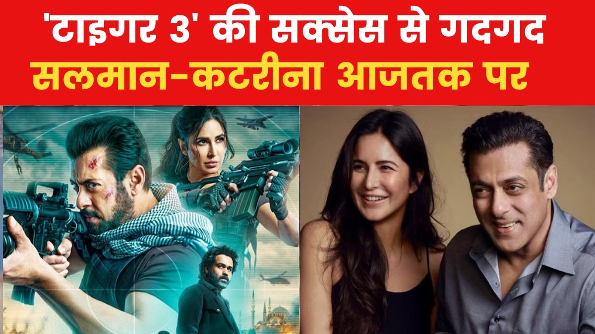 tiger 3 box office collection