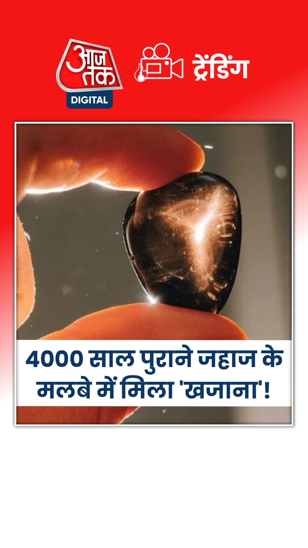 जहाज के मलबे में मिला 'खजाना'! देखते ही उड़े लोगों के होश