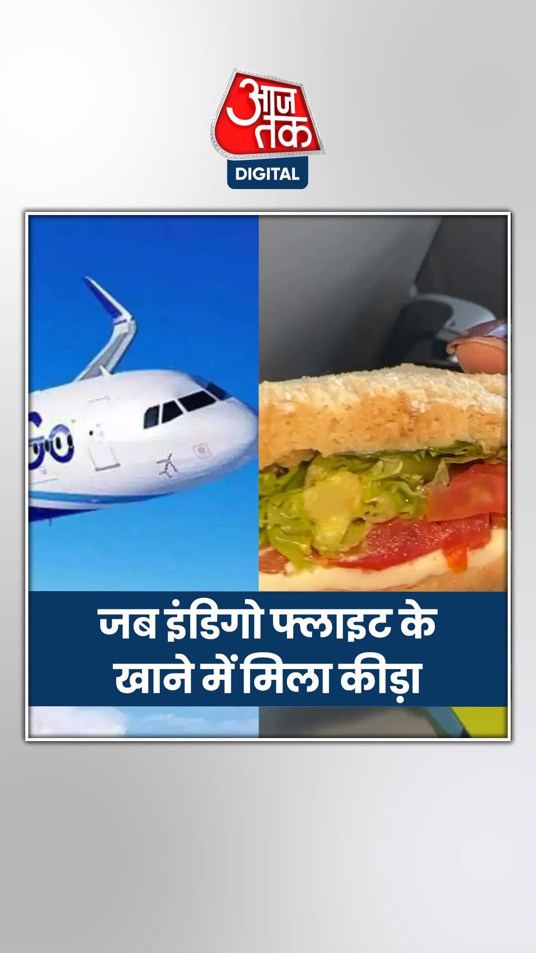 फ्लाइट में बैठी महिला को खाने में मिला जिंदा कीड़ा, VIDEO वायरल 