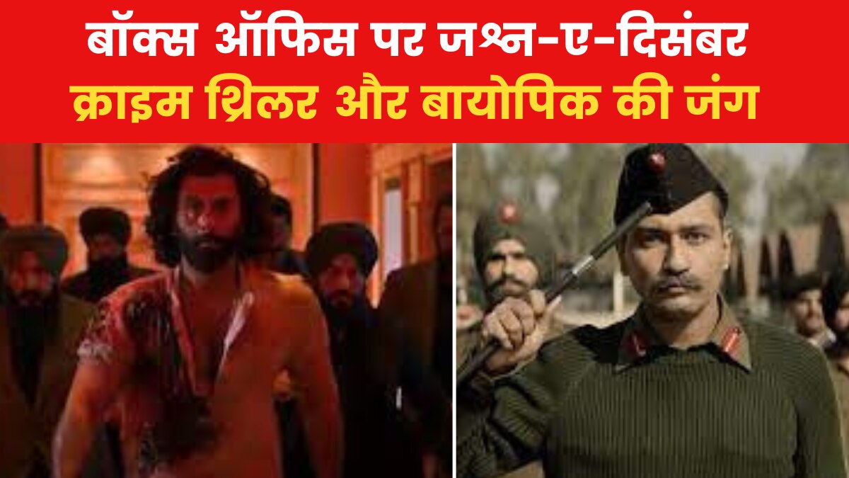 Animal vs Sam Bahadur