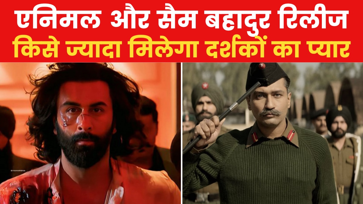 sam bahadur vs animal movie