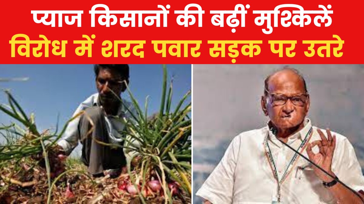 Sharad Pawar Onion Protest