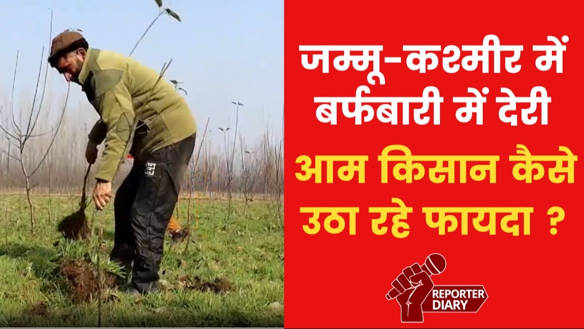 जम्मू-कश्मीर: बर्फबारी में देरी के कैसे हुए फायदे, कुलगाम के किसान से जानिए