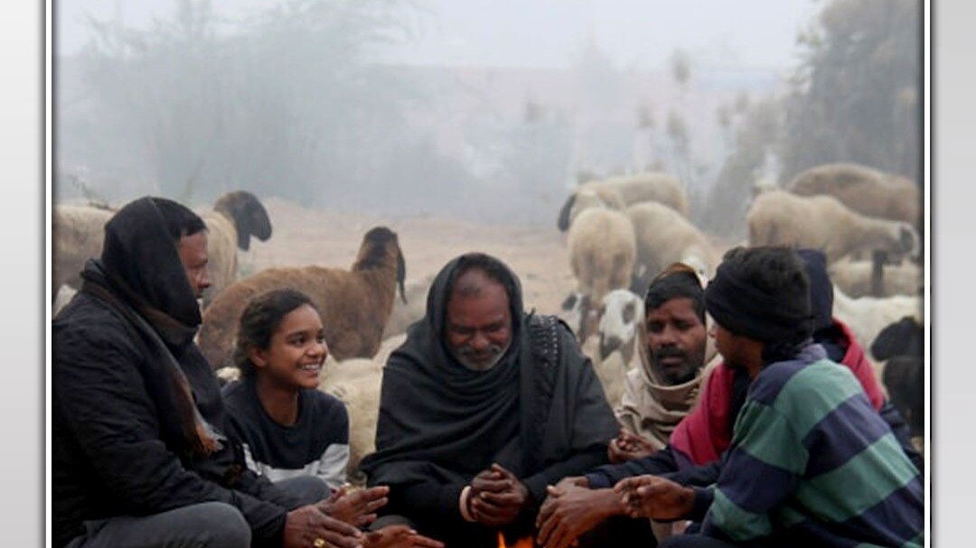 temparature goes is minus in seekar 