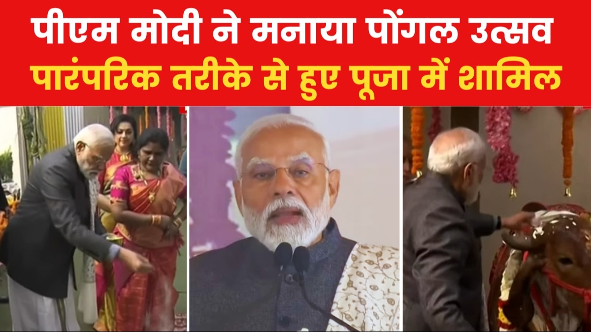 pm modi celebrated pongal