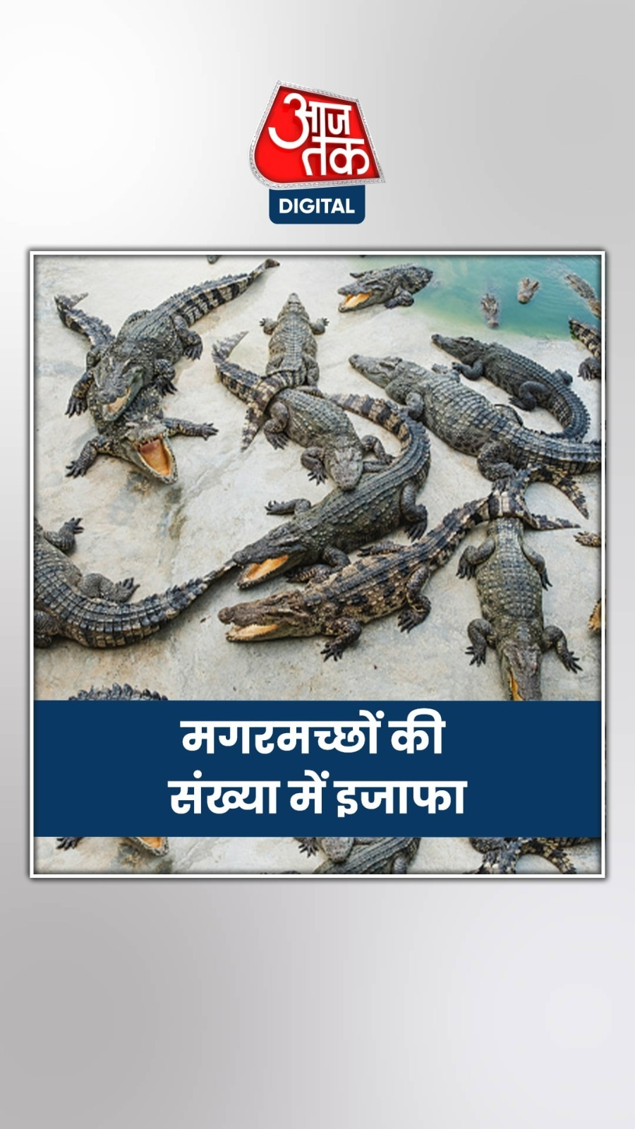 चंबल नदी का होगा सर्वे, सरकार को भेजी जाएगी रिपोर्ट